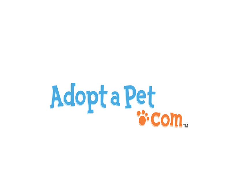 upload adoptable animals to adoptapet.com