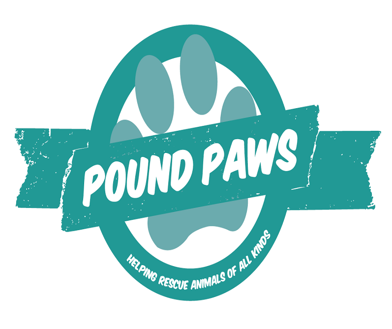 upload adoptable animals to poundpaws.com.au